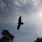 Profile Picture of Mark Stocking (@by_marcanda) on Instagram