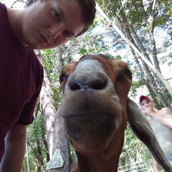 Profile Picture of Daniel Boulet (@danielboulet) on Poshmark