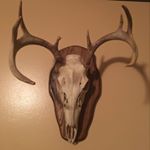 Profile Picture of Nathan Coburn (@nathancoburn2003) on Instagram