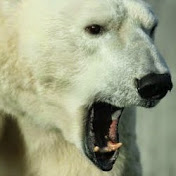 Profile Picture of Bryan Weeks (@bryanweeks2258) on Youtube