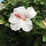 Profile Picture of Molly K. Manion- Argillander (@mollykathleeno) on Instagram