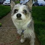 Profile Picture of Michael Morawski (@morawski62) on Instagram