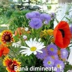 Profile Picture of Валерий Иванов (@valerij.ivanov.359336) on Facebook