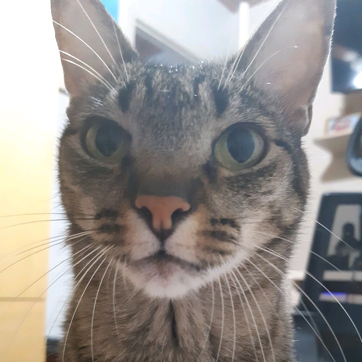 Profile Picture of Gfusaro (@gfusaro6) on Tiktok