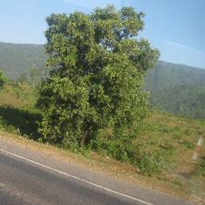 Profile Picture of Robin Rashad (@RobinRashad) on Twitter