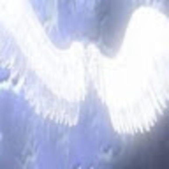 Profile Picture of Goose Goose (@keanip123) on Poshmark