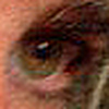 Profile Picture of Greg Cummings (@Gorillaland) on Flickr