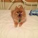 Profile Picture of Scott Enerson (@smenerson) on Pinterest