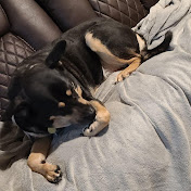 Profile Picture of Makayla Nelson (@makaylanelson7343) on Youtube