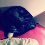 Profile Picture of Gerald_Hanna (@gerald_hannab) on Instagram