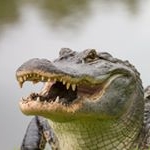 Profile Picture of Michael Zenner (@michaelzennemic) on Instagram