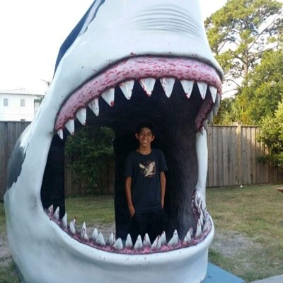 Profile Picture of Luis Lanuza (@_luislanuza305_) on Twitter