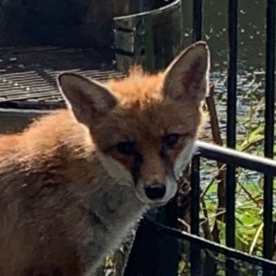Profile Picture of Glenn Matchett (@malty99) on Twitter