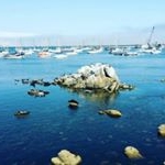 Profile Picture of Maja Struckmeyer (@maja.felicitas) on Instagram