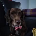 Profile Picture of Simon Shukman (@simon.shukman.5) on Facebook