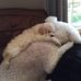 Profile Picture of Cindy Larner (@cindy.larner.9) on Facebook