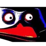 Profile Picture of Daniel Salvaggio (@dani_mite4) on Instagram