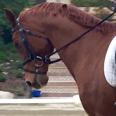 Profile Picture of Robert Anker (@ranker90) on Twitter