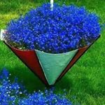 Profile Picture of Raymond Patrick (@raymondpatrick123344557) on Instagram