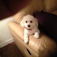 Profile Picture of Joyce Weinstein (@joyce-weinstein-5) on Quora