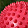 Profile Picture of Tom Garner (@thomasgarner) on Flickr