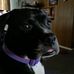 Profile Picture of Doug Corn (@doug.corn.167) on Facebook
