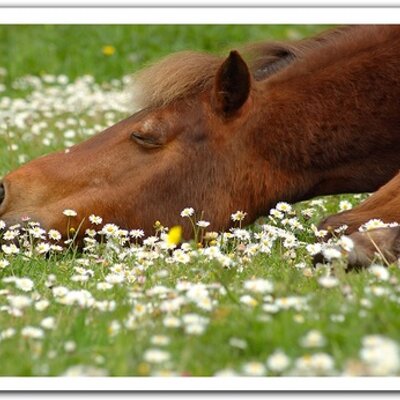 Profile Picture of Janet Stephen (@PistolJannie) on Twitter