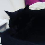 Profile Picture of Benjamin Rudolf (@beny6666666) on Instagram