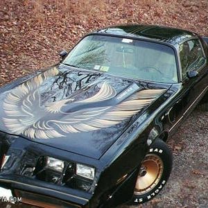 Profile Picture of Kristopher Lewis (@loueylewis94) on Myspace