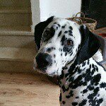 Profile Picture of Adam (@adam.bautista.note4) on Instagram