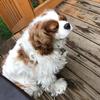 Profile Picture of Nancy Theberge (@nancytheberge) on Tiktok