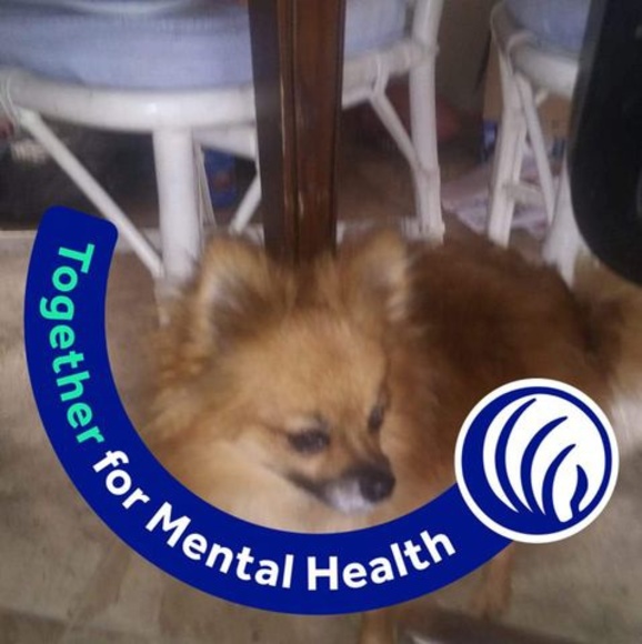 Profile Picture of Stacey Releford (@s9831292) on Poshmark