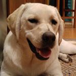 Profile Picture of Diane Hurd (@diane_hurd) on Instagram