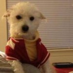 Profile Picture of James Yoe (@dmc4dante360) on Instagram