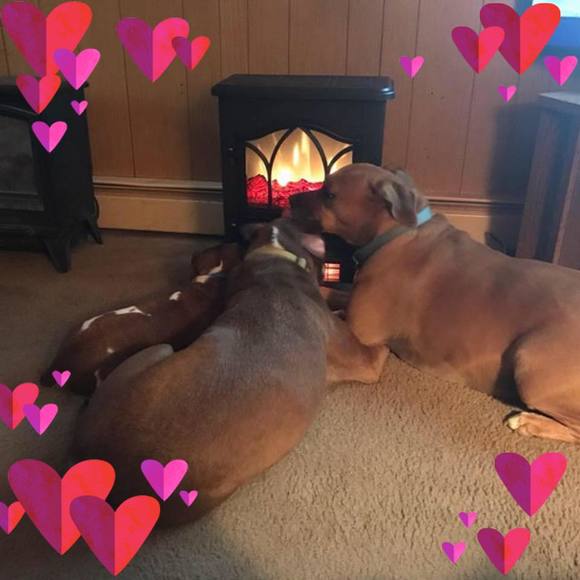 Profile Picture of Helen Confair (@helen040) on Poshmark