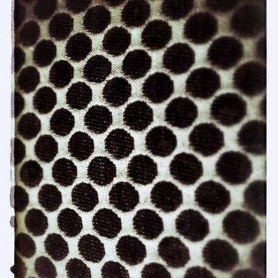 Profile Picture of Leanne Haskins (@leannehas) on Twitter