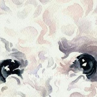 Profile Picture of Mattie Clements (@mattie.clements.3) on Facebook