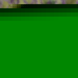 Profile Picture of Caleb Jenkins (@calebljenkins) on Myspace