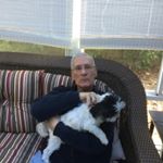 Profile Picture of Kenneth Hassan (@stevenbregman) on Instagram