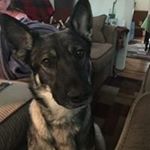 Profile Picture of Bryan Bosley (@bpdret06) on Instagram