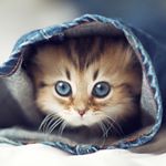 Profile Picture of Nathan (@nathan.donovan86) on Instagram