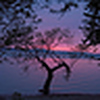 Profile Picture of Craig Morrill (@Craig Morrill) on Flickr