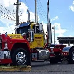 Profile Picture of Roger Leonardo Usech (@rogerleonardousec) on Tiktok