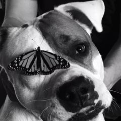 Profile Picture of kathycalabrese (@kathycalabrese) on Tiktok