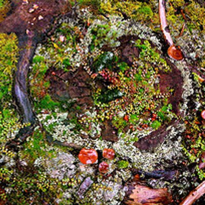 Profile Picture of Harold MARCO (@Harold608) on Twitter