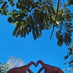 Profile Picture of Alice Gracie (@Alice-Gracie) on Facebook