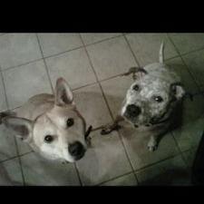 Profile Picture of Paula Strouse (@smuckersmom) on Twitter