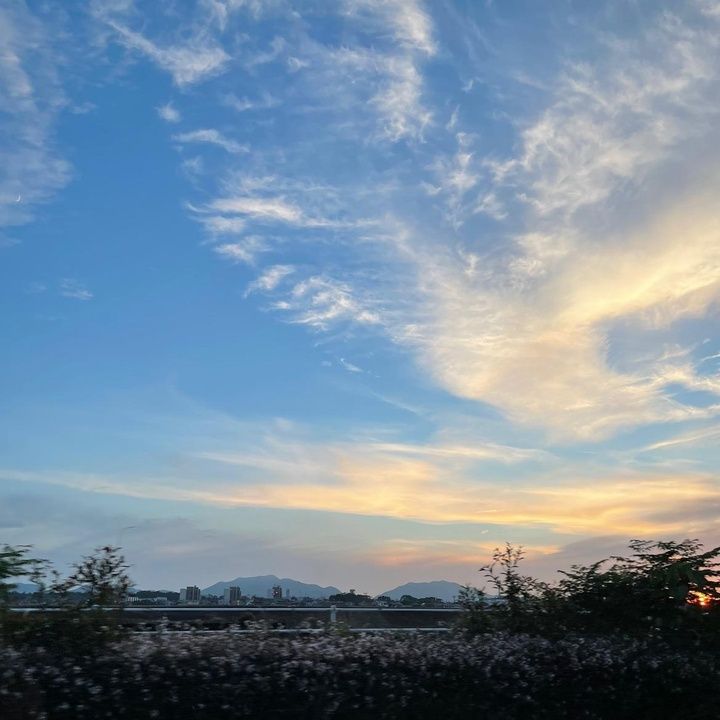 Profile Picture of LisaFoster (@nfeesagja02) on Tiktok