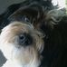 Profile Picture of Ellen Page (@ellen.page.7330) on Facebook