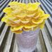 Profile Picture of David Kirschenbaum (@David-Kirschenbaum) on Facebook